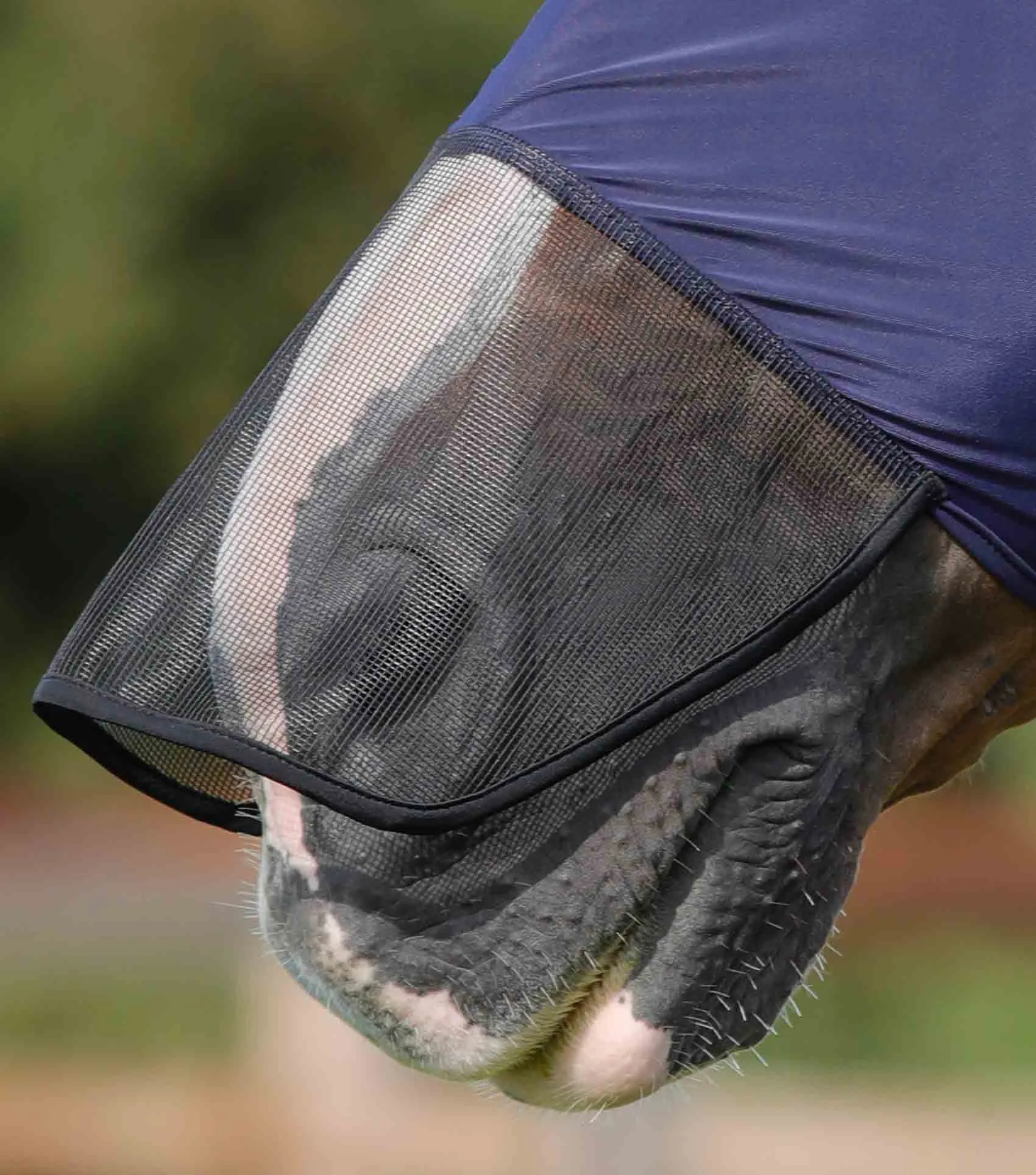 *25% Off* PEI Comfort Tech Lycra Full Cover Fly Mask (Navy, Medium)