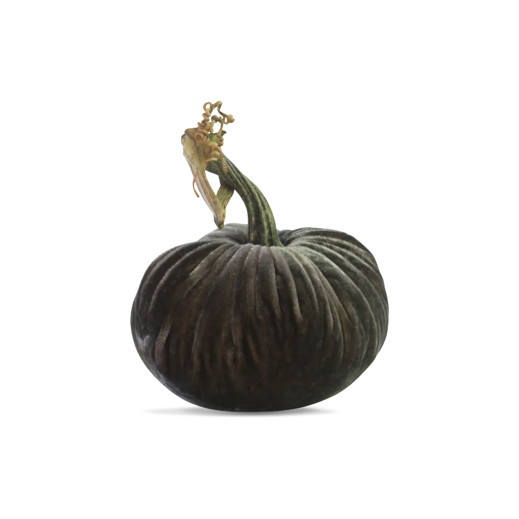 3" Velvet Pumpkin