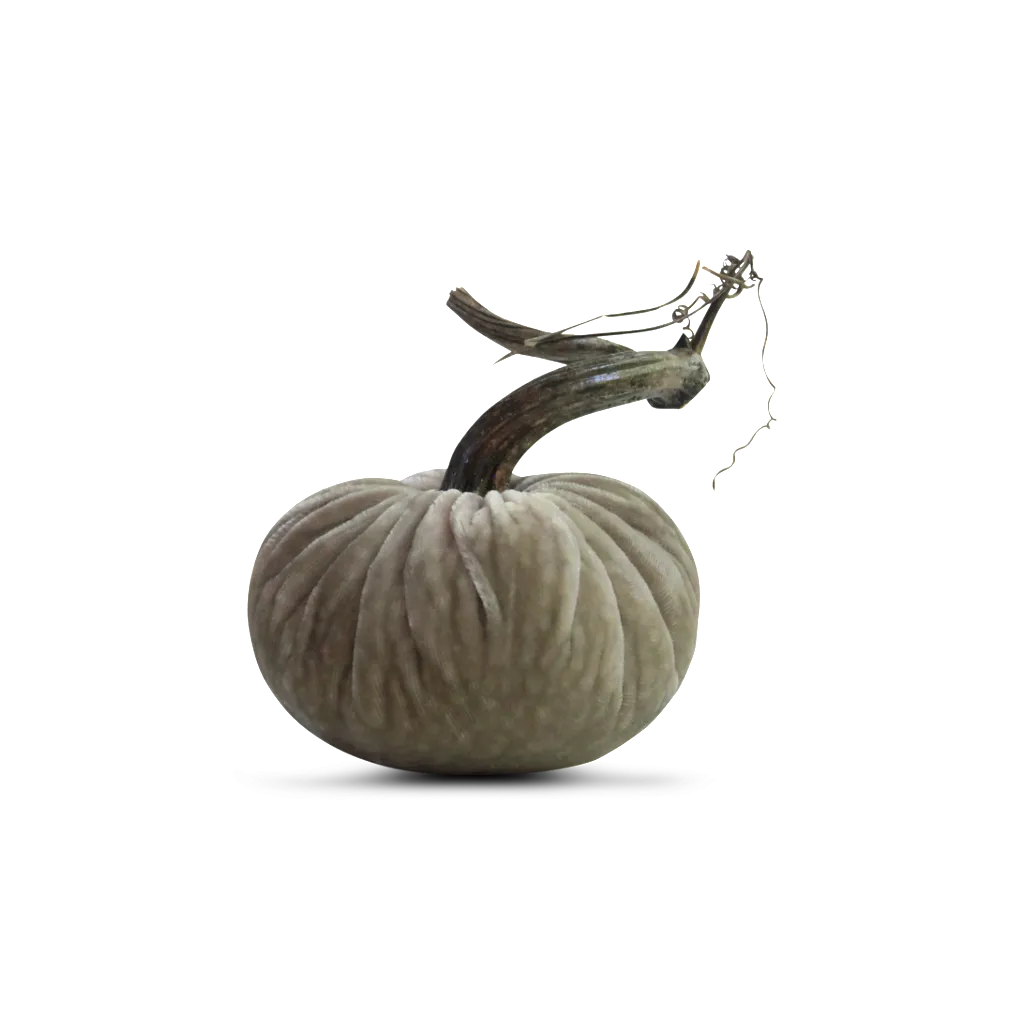 3" Velvet Pumpkin