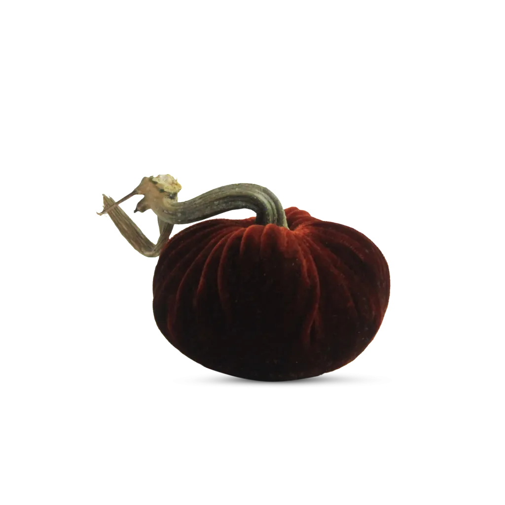 4" Velvet Pumpkin