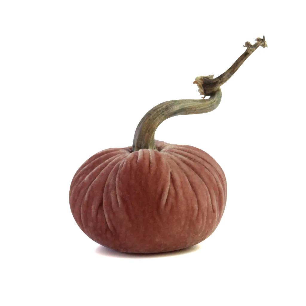 4" Velvet Pumpkin