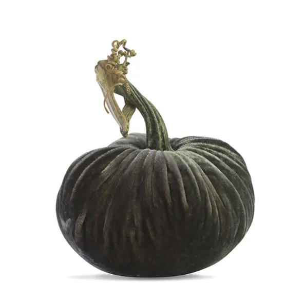 6" Velvet Pumpkin