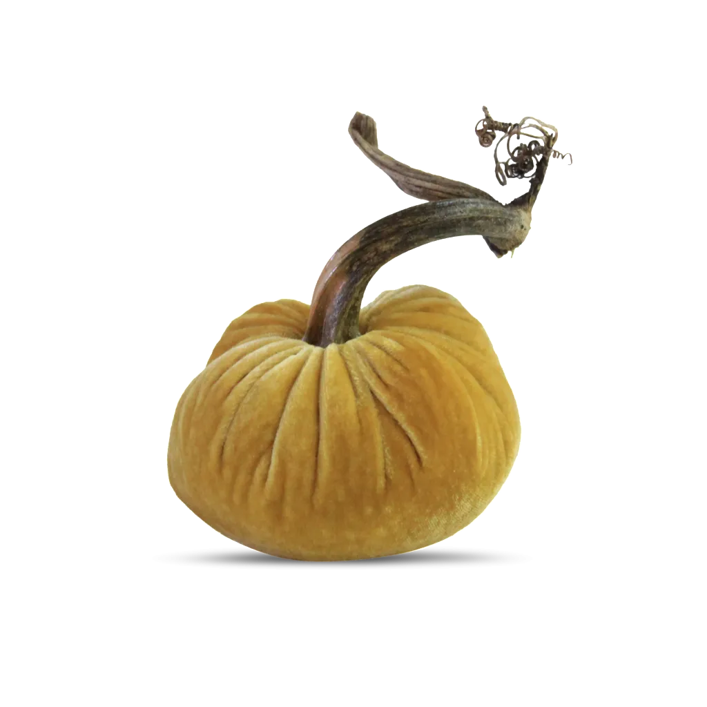 6" Velvet Pumpkin