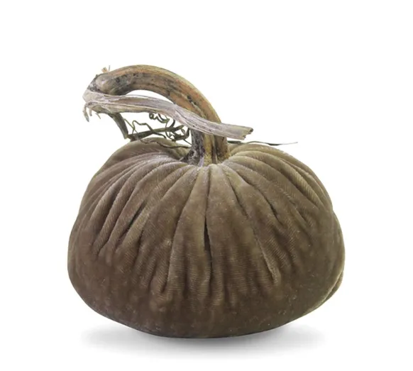 8" Velvet Pumpkin