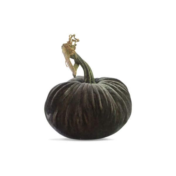 8" Velvet Pumpkin