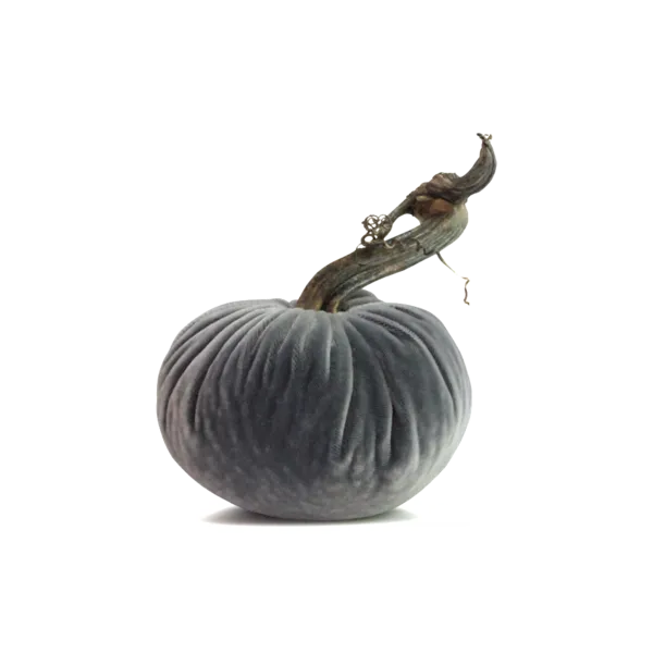 8" Velvet Pumpkin