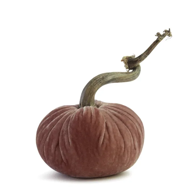 8" Velvet Pumpkin