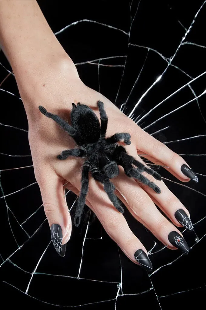 Black Widow - Press On Nails