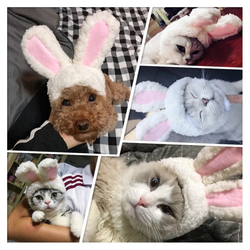 Bunny Ears | Cat Costume