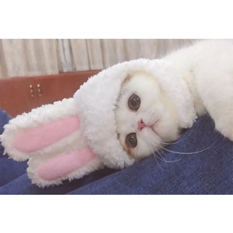 Bunny Ears | Cat Costume