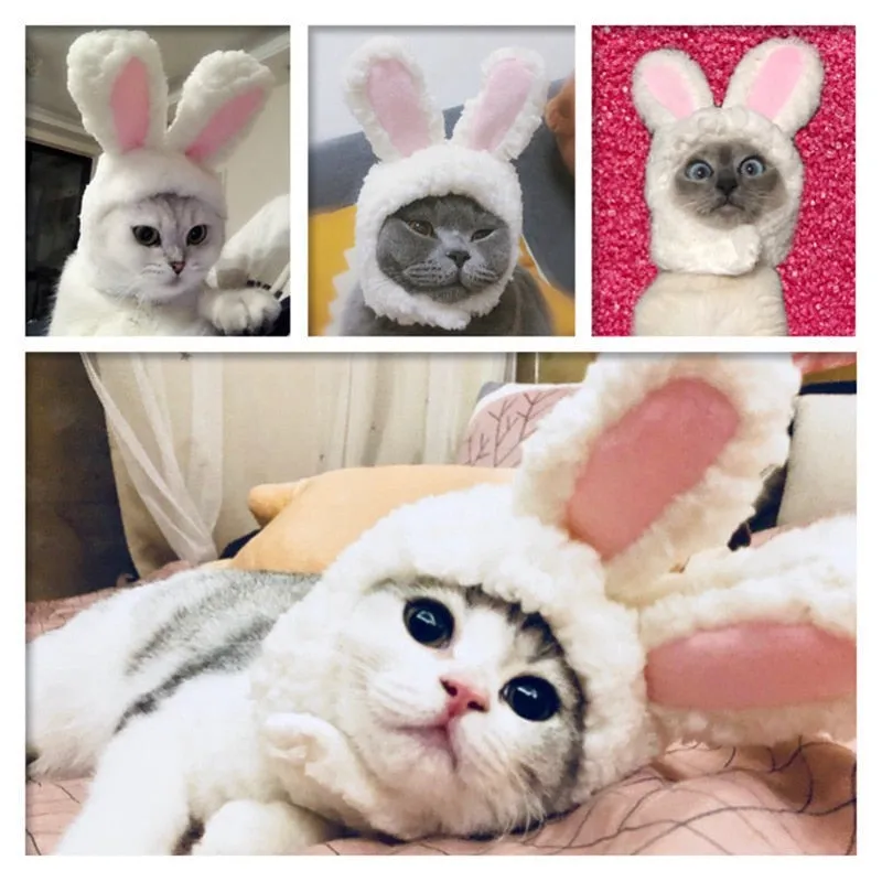 Bunny Ears | Cat Costume