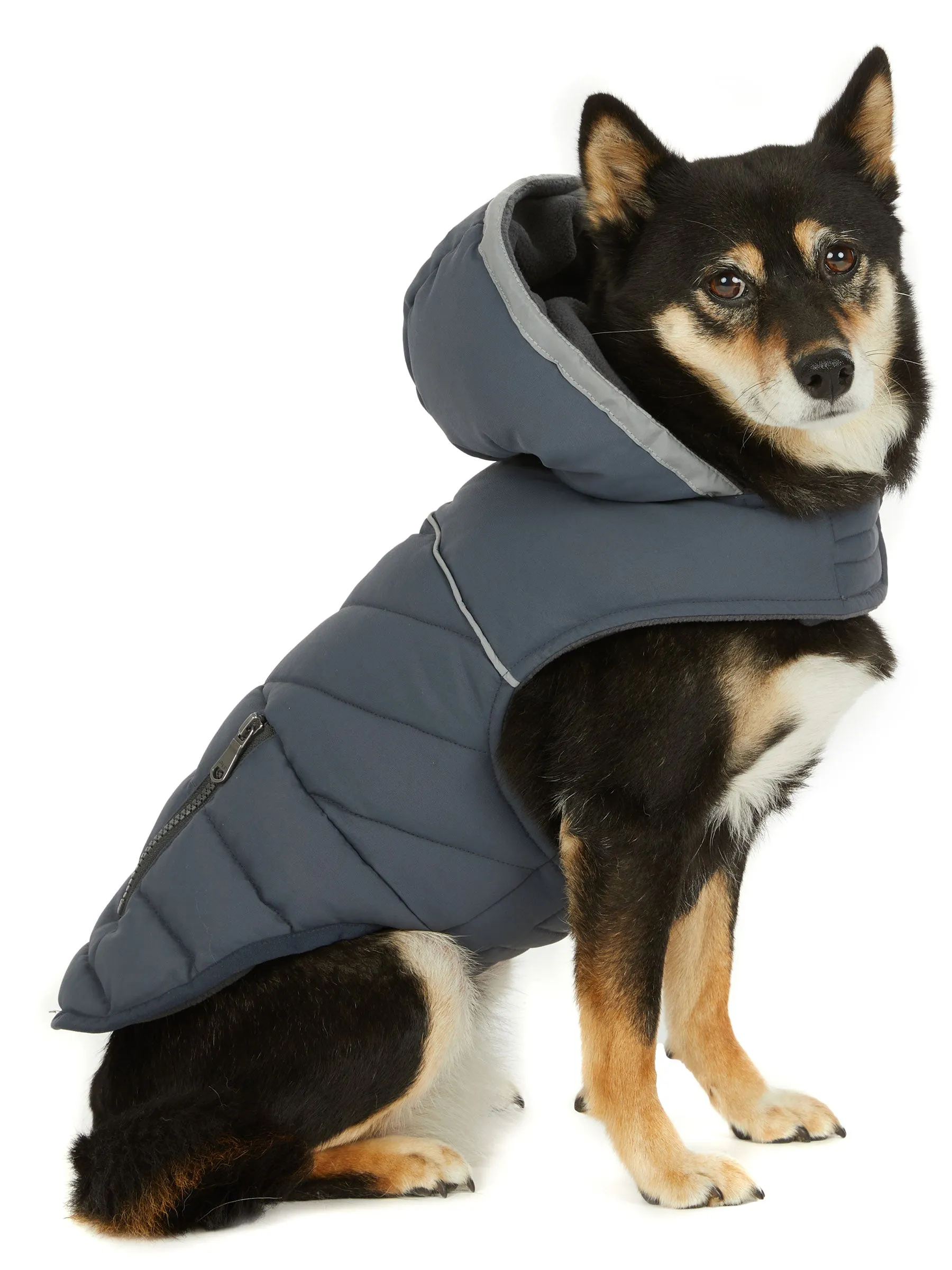 Denver Easy Fit Jacket for Dogs