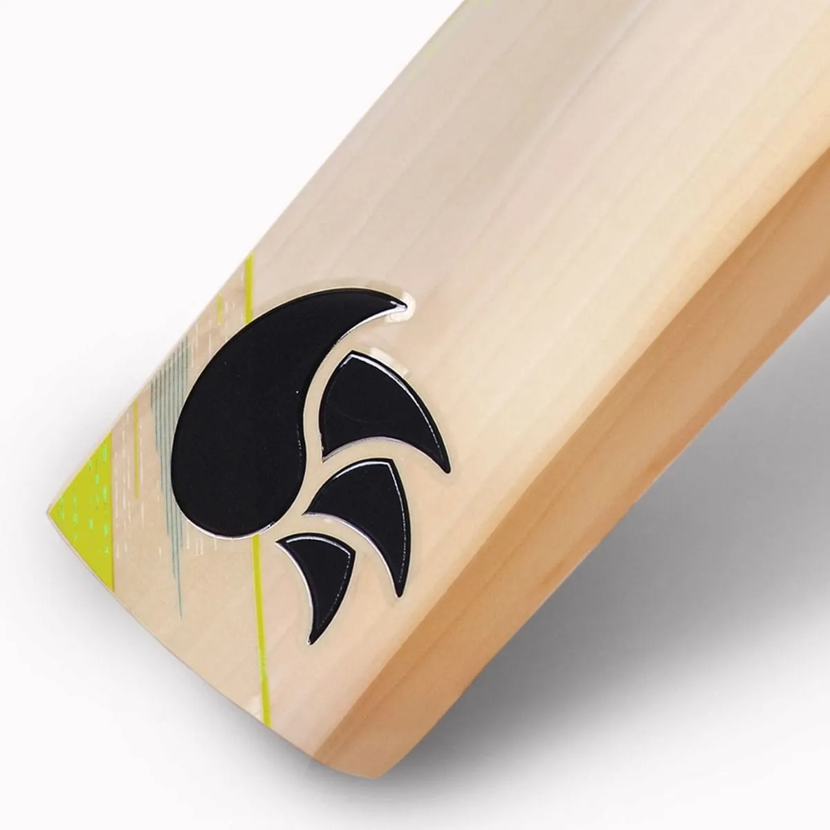 DSC Condor Glider Adult Cricket Bat