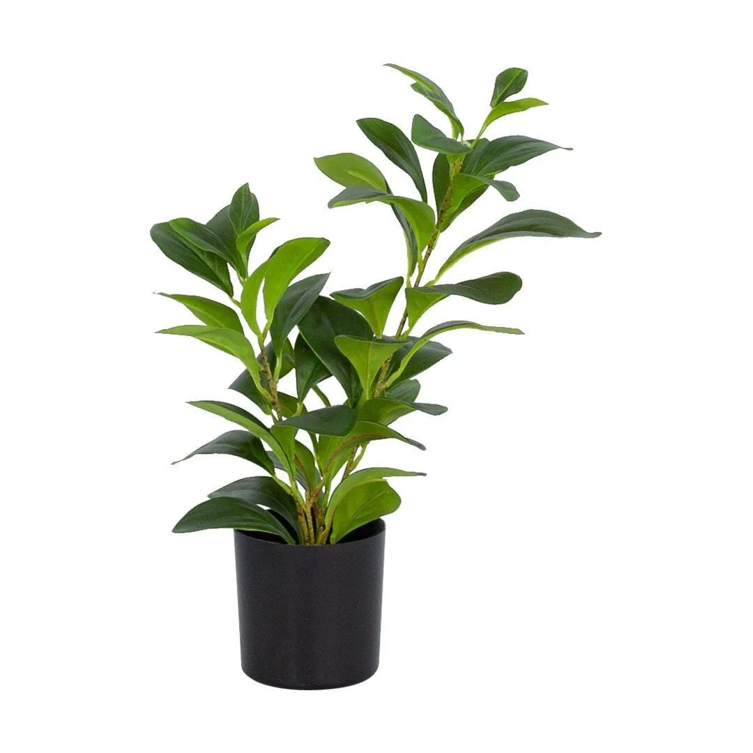 Faux Umbrella Plant