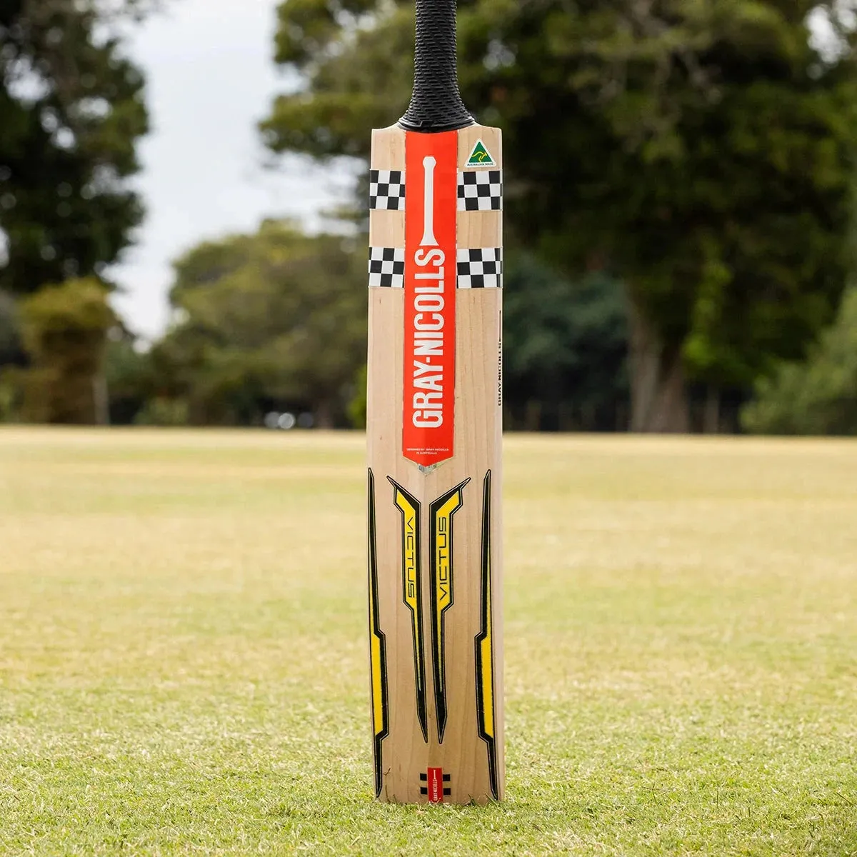 Gray Nicolls Victus Players Edition Adult Cricket Bat