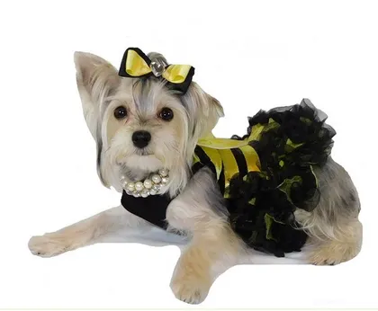 Pawpatu Yellow Bumble Bee Costume Petti Dress for Pets