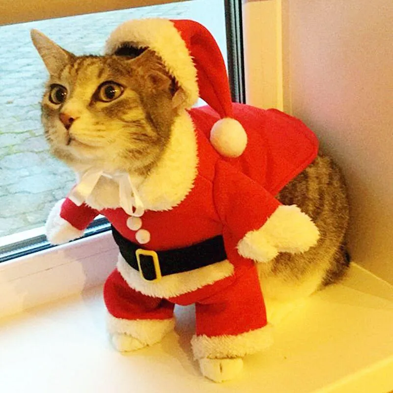 Santa Costume