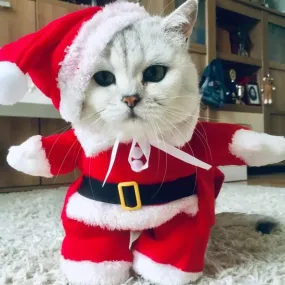 Santa Costume